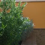 Apartment Lujoso Y Moderno Duplex Con Fantastica Terraza *
