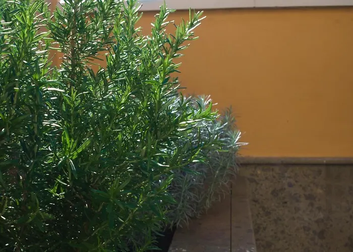 Apartamento Lujoso Y Moderno Con Fantástica Terraza *