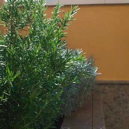 Lägenhet Lujoso Y Moderno Duplex Con Fantastica Terraza *